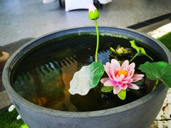 -乙十六·湖景