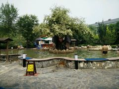 android_upload_pic-国御温泉度假小镇