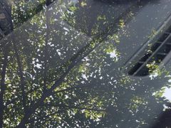 -小晏汽车维修店(华阳店)