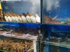 -蚝专家(北滘店)