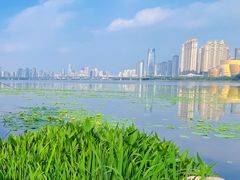 -沙湖公园