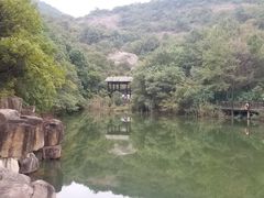 -白马涧龙池景区