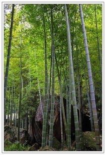-山沟沟景区