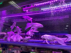 -三旗百汇商品城