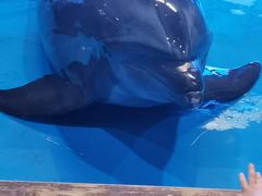 -锦艺城海洋馆