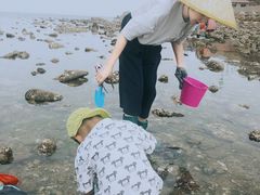 -小石岛景区