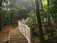 -南山植物园
