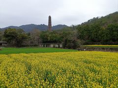 -天台山景区