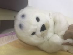-大连圣亚海洋世界