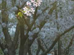 -龙美术馆(西岸馆)