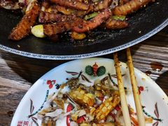 -靓蛙馆