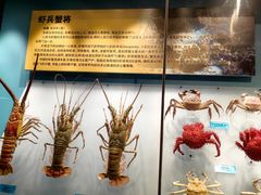 -天津自然博物馆