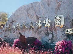 -北京西山国家森林公园