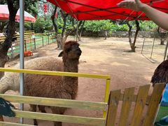 -光明农场大观园