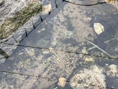 -黑龙潭风景区
