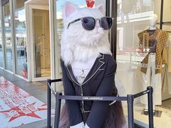 -首创奥特莱斯(北京店)