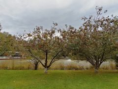 -春晖园度假酒店温泉