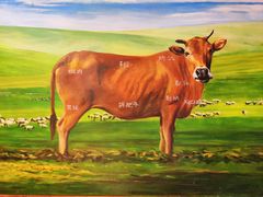 -潮汕三宝鲜牛肉火锅