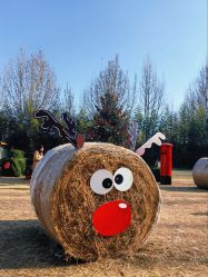 -禧园Joyous Garden ·宴会厅(禧园店)