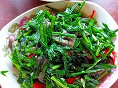 -同銮特种养殖场·龙虾垂钓