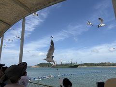 -海驴岛(荣成市)