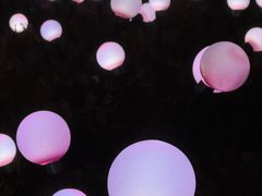 -中国杭州低碳科技馆