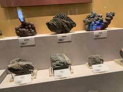 -湖南省地质博物馆