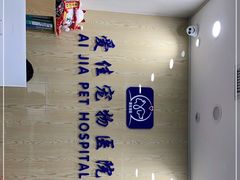 -爱佳宠物中心医院24H·CT·骨外科·猫专科(瑶海万达店)