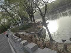 -石家庄市动物园