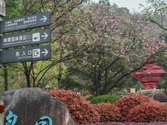 -重庆园博园