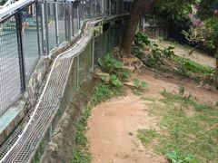 -深圳野生动物园