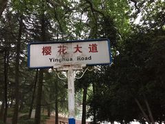 -武汉大学-樱园
