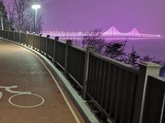 -星海湾跨海大桥
