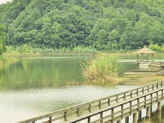 -千岛湖龙川湾