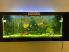 -乔家大院私房菜(海佳云顶店)