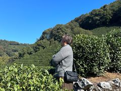 -阿巧茶庄