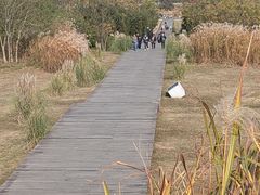 -良渚古城遗址公园