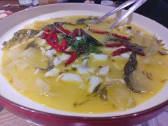 -船歌·鱼水饺青岛菜(黄岛珠江路店)
