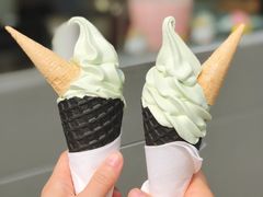 -麦丽丝红油辣椒冰淇淋(江家巷店)
