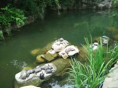 -九龙公园