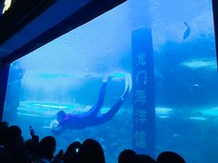 -洛阳龙门海洋馆