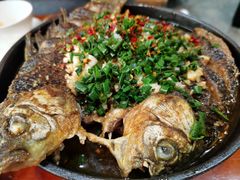 铁板鲫鱼-光头李品质家常菜(人民路店)