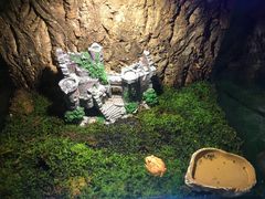 -梦幻海洋王国(吾悦广场张家港店)