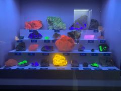 -湖南省地质博物馆