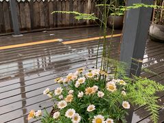 -冰冰龙虾·江湖菜·花园江景餐厅
