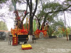 -大槐树寻根祭祖园