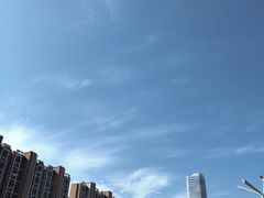 -木塔寺遗址生态公园