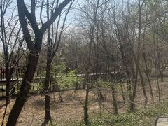 -北京麋鹿生态实验中心