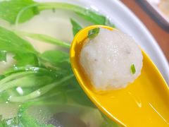 鱼丸粉丝汤-大壶春生煎(四川中路店)