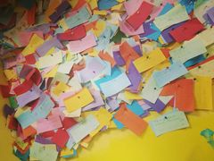 -志龙皇冠吃货椰子铺